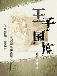 毁童话之王子国度